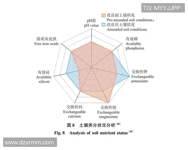 西安篮球队在钻石联赛中的耐力表现分析与未来展望