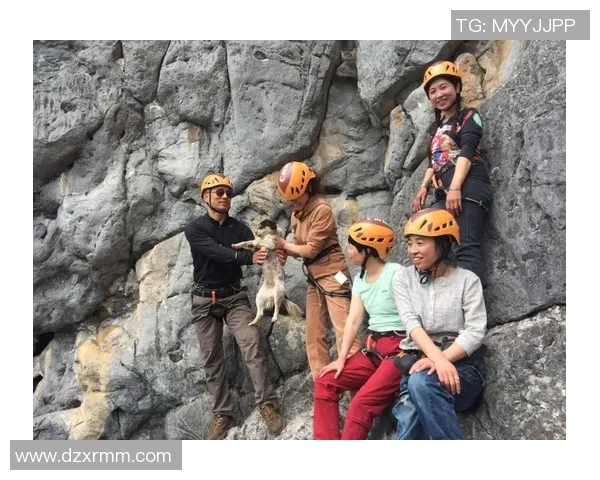 杭州攀岩队反击之路：从挑战到胜利的得失与启示